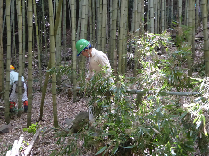 森林活動　受注生産