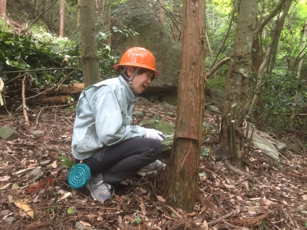 女性社員も一緒