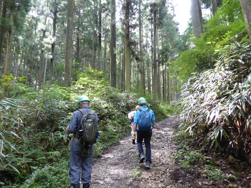 活動地まで山登り　店舗什器