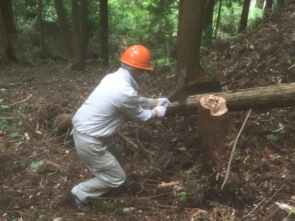 大きな鋸の威力は絶大