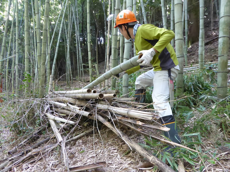 森林整備　家具職人
