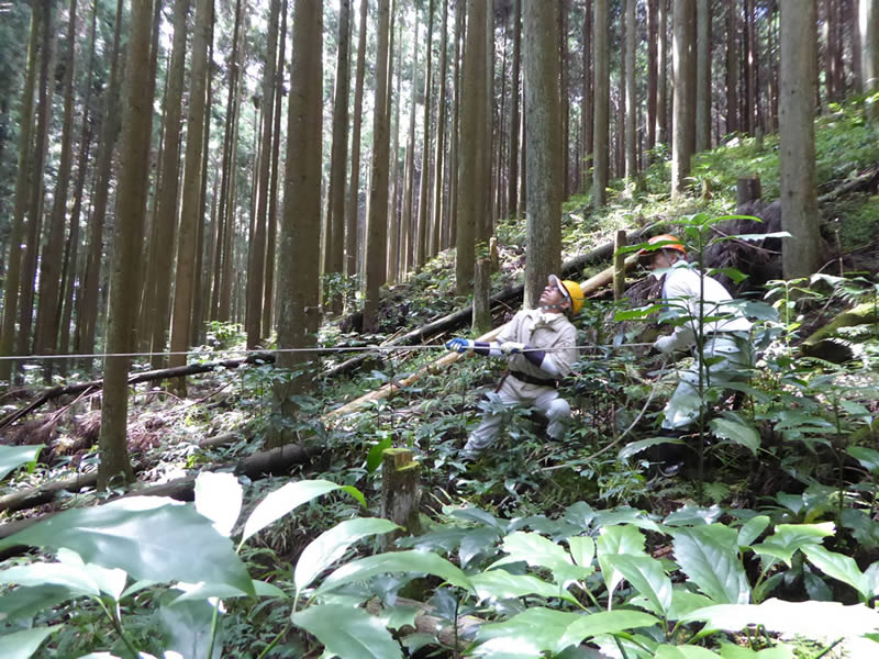 ロープをかけて引っ張る　壁面収納