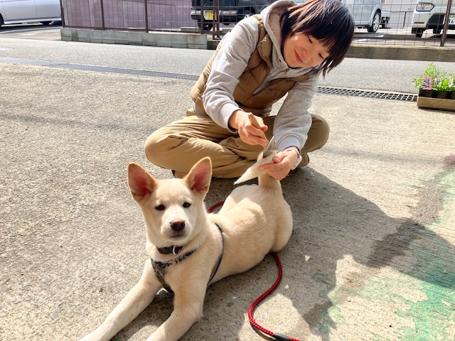 社会・環境への取り組み　保護犬