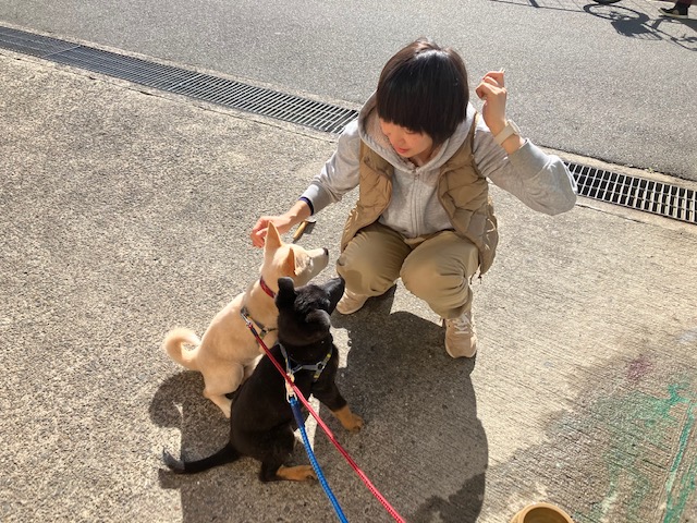 社会・環境への取り組み　保護犬