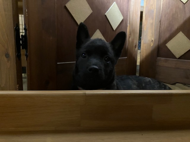 大阪のオーダー家具屋