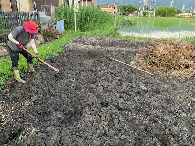 家具屋によるクワイ池作り