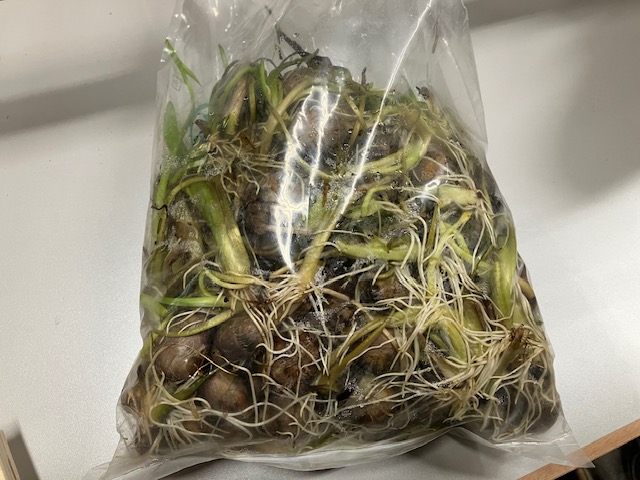 クワイ　大阪のオーダー家具屋