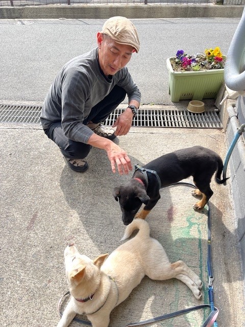 オーダー家具屋　元保護犬　